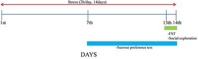 The Differential Role of Cytokines on Stress Responses in a Menopause Rat Model